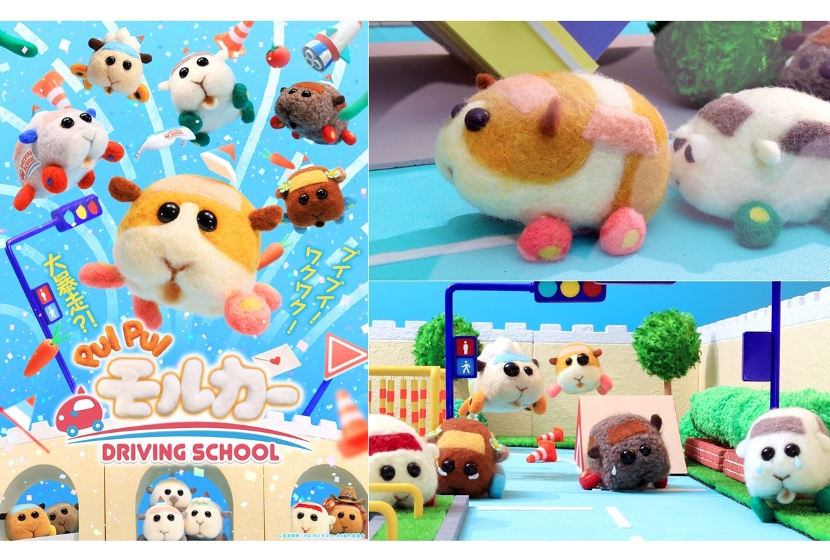 『PUI PUI モルカー DRIVING SCHOOL』2022年10月 テレビ東京ほか放送開始