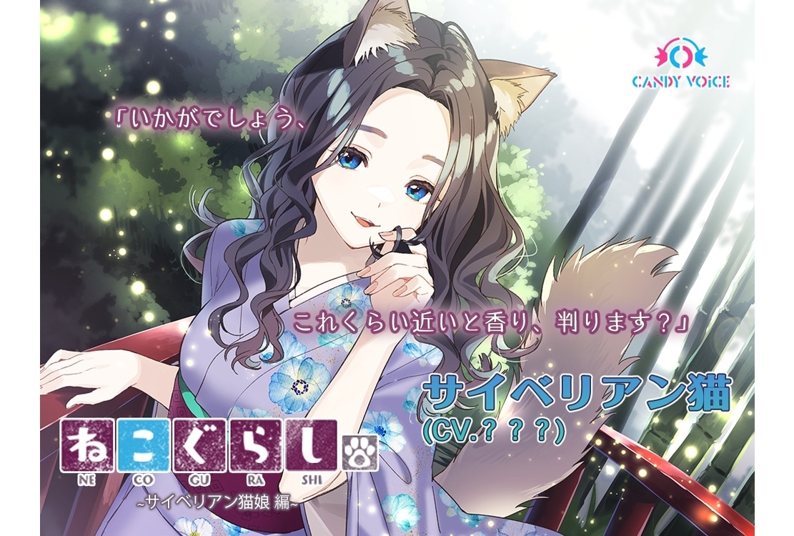 ASMR音声作品『新・ねこぐらし。』第7弾「サイベリアン猫」キービジュアル解禁！