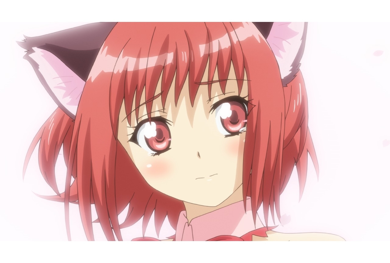 夏アニメ『東京ミュウミュウ にゅ~♡』第7話あらすじ&場面カット公開