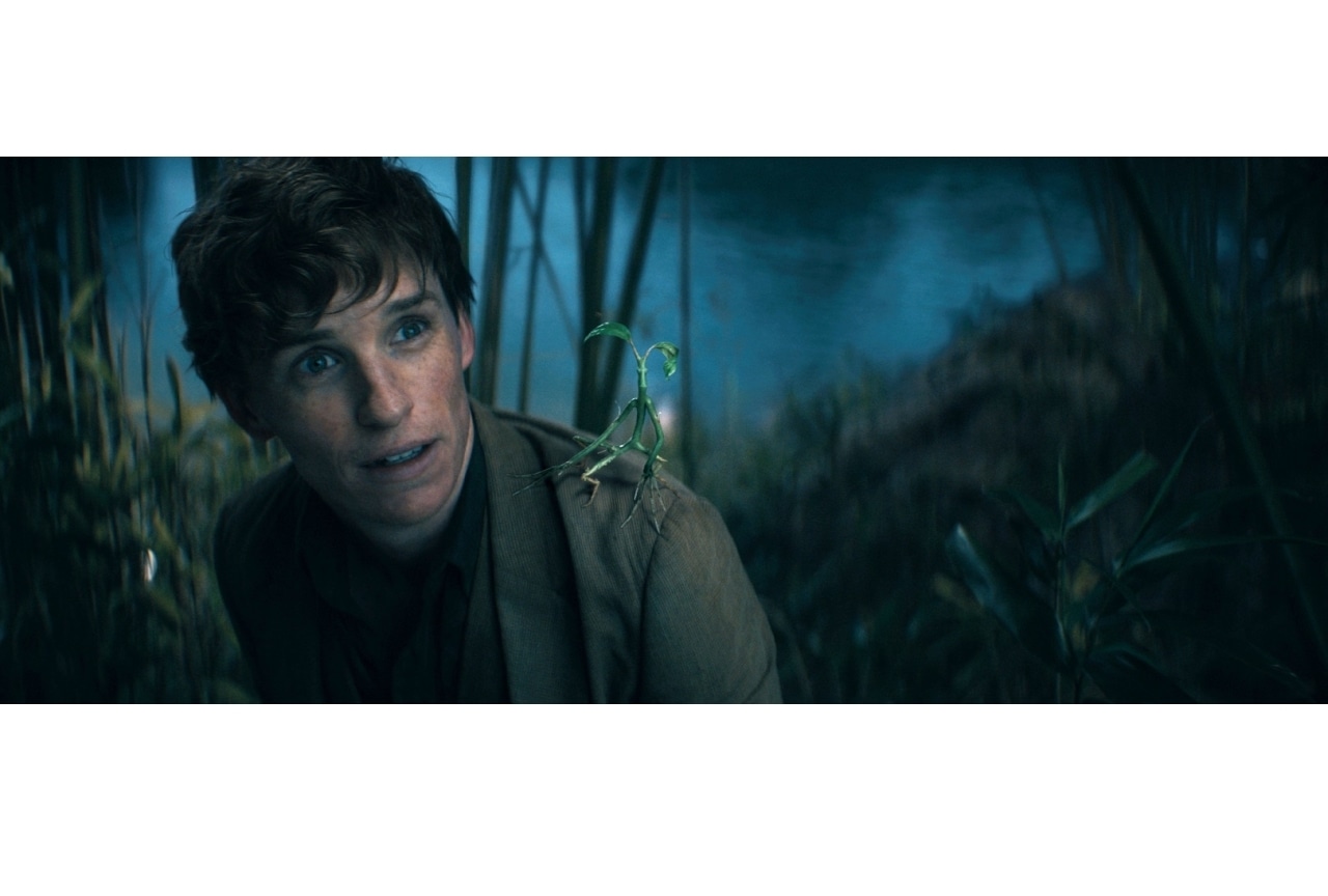 実写映画『ファンタスティック・ビーストとダンブルドアの秘密』日本語吹替声優・宮野真守らのインタビュー動画公開