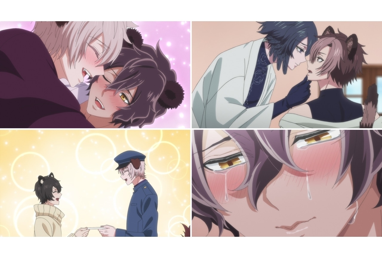 夏アニメ『森のくまさん、冬眠中。』最終回・第9話「恋人になりたい」あらすじ＆先行カット公開！