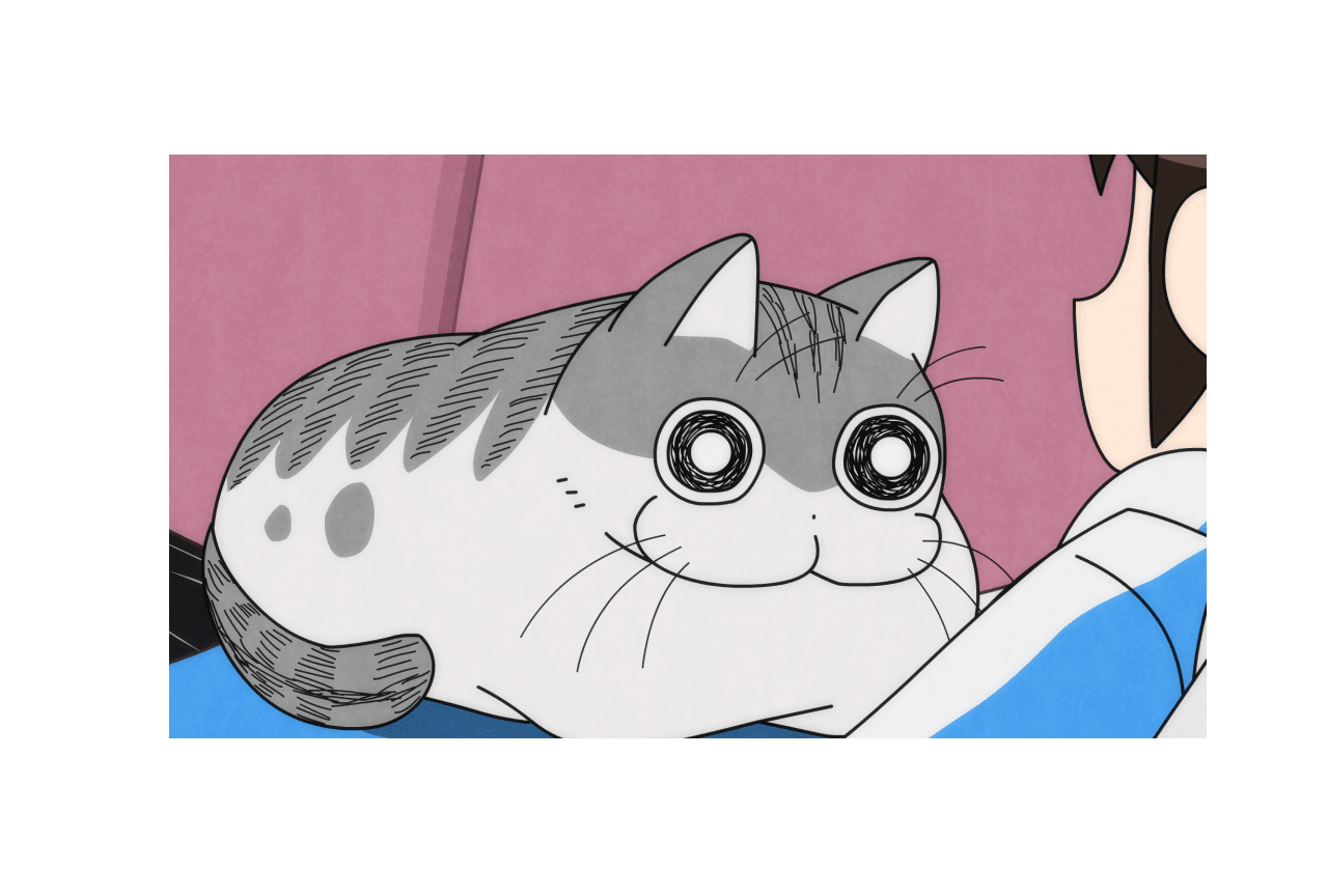 配信アニメ『夜は猫といっしょ』第20夜（第20話）あらすじ＆先行カット公開