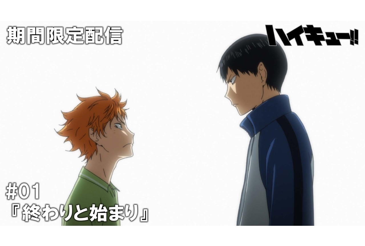 TVアニメ『ハイキュー!!』傑作選配信決定