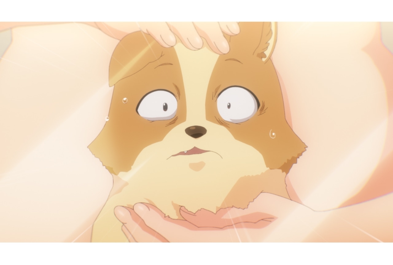 冬アニメ『犬ひろ』第1話先行カット＆あらすじが公開