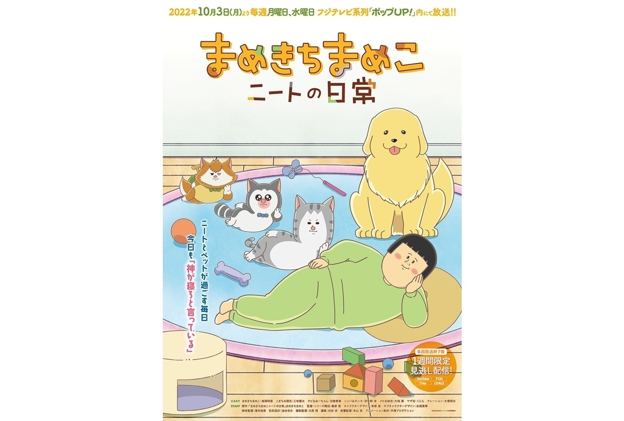 TVアニメ『まめきちまめこニートの日常』放送時間お引越し