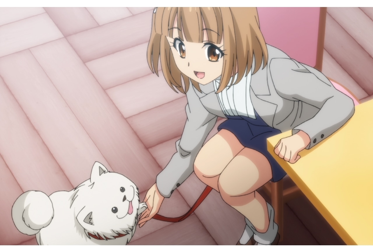 秋アニメ『俺クンの人生』第10話「俺クン、子犬になる。」先行カット公開!