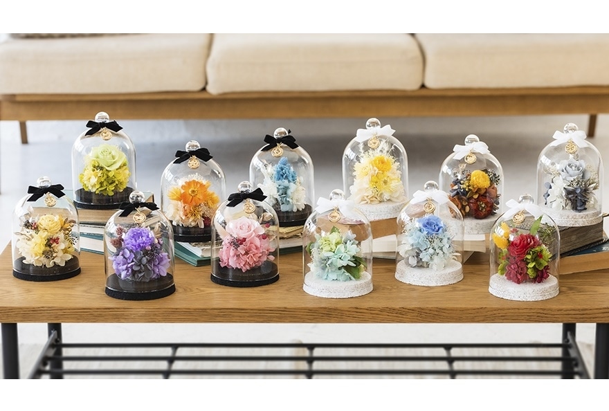 『ツキウタ。』より、フラワードーム12種が登場