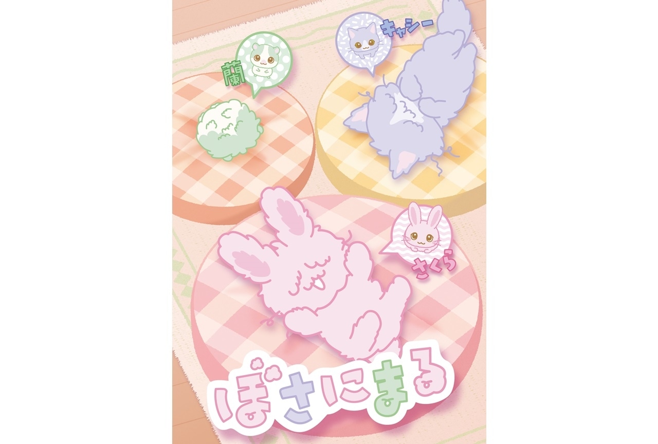 サンリオ「ぼさにまる」がアニメ化!『ノンストップ!』にて4月より放送