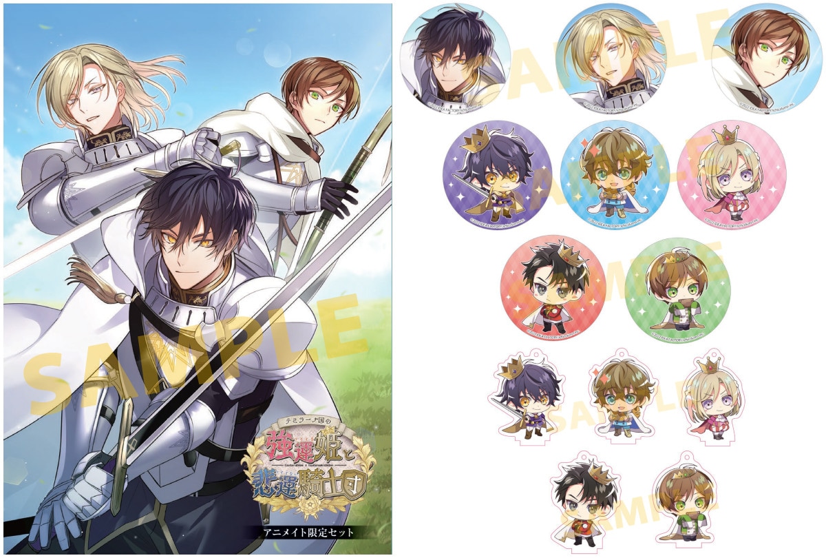 4月27日発売の乙女ゲーム『ツイツイ』アニメイト限定セットを紹介