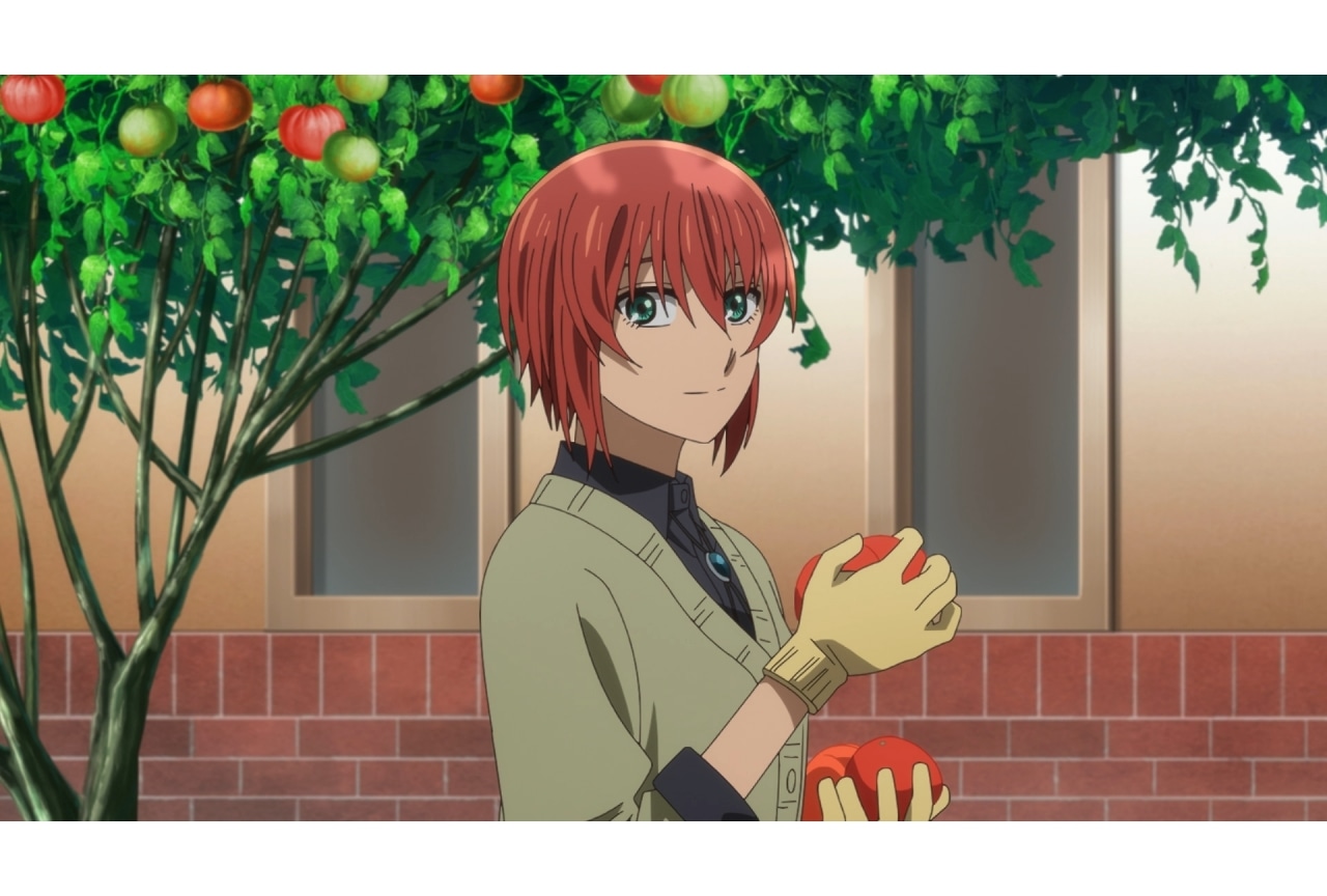 『魔法使いの嫁 SEASON2』第17話あらすじ＆先行カット公開