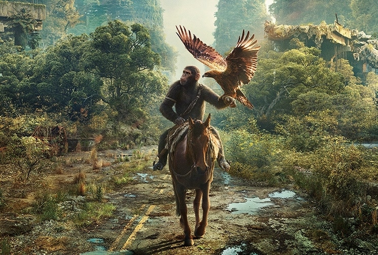 『猿の惑星/キングダム』2024年夏 公開／特報＆ポスター解禁