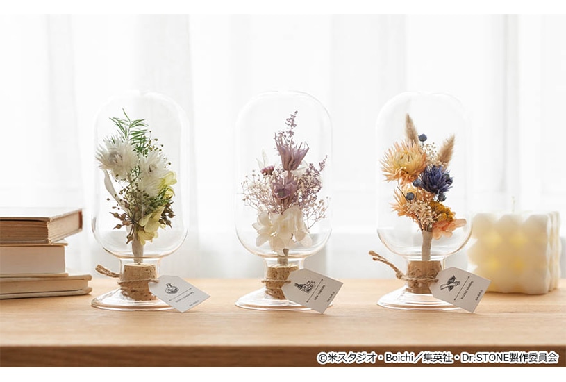 『Dr.STONE』の「ボトルフラワー」がアニメイト通販に登場!