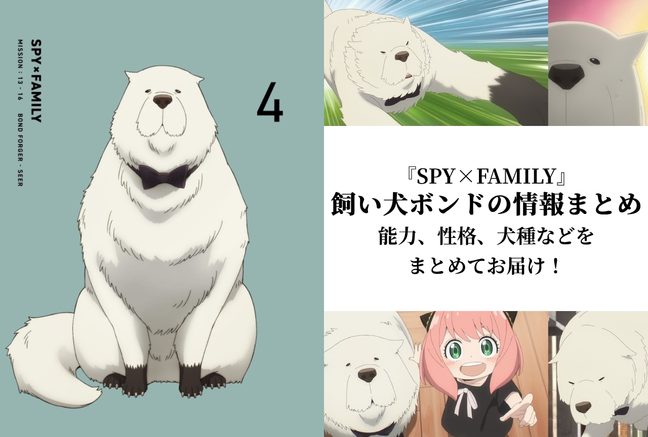 『スパイファミリー』飼犬ボンドの犬種・能力・性格などをまとめて解説