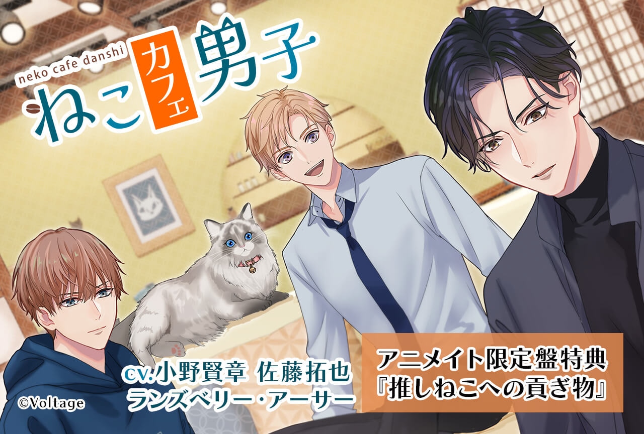 ドラマCD『ねこカフェ男子　～喫茶・猫暖へようこそ～』（出演声優：小野賢章 佐藤拓也 ランズベリー・アーサー 他）が「ポケットドラマCD」にて予約販売開始！【アニメイト限定盤特典付き】