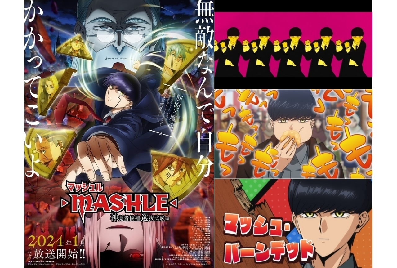 『マッシュル-MASHLE-』アニメ第3期はいつから？続編制作決定！