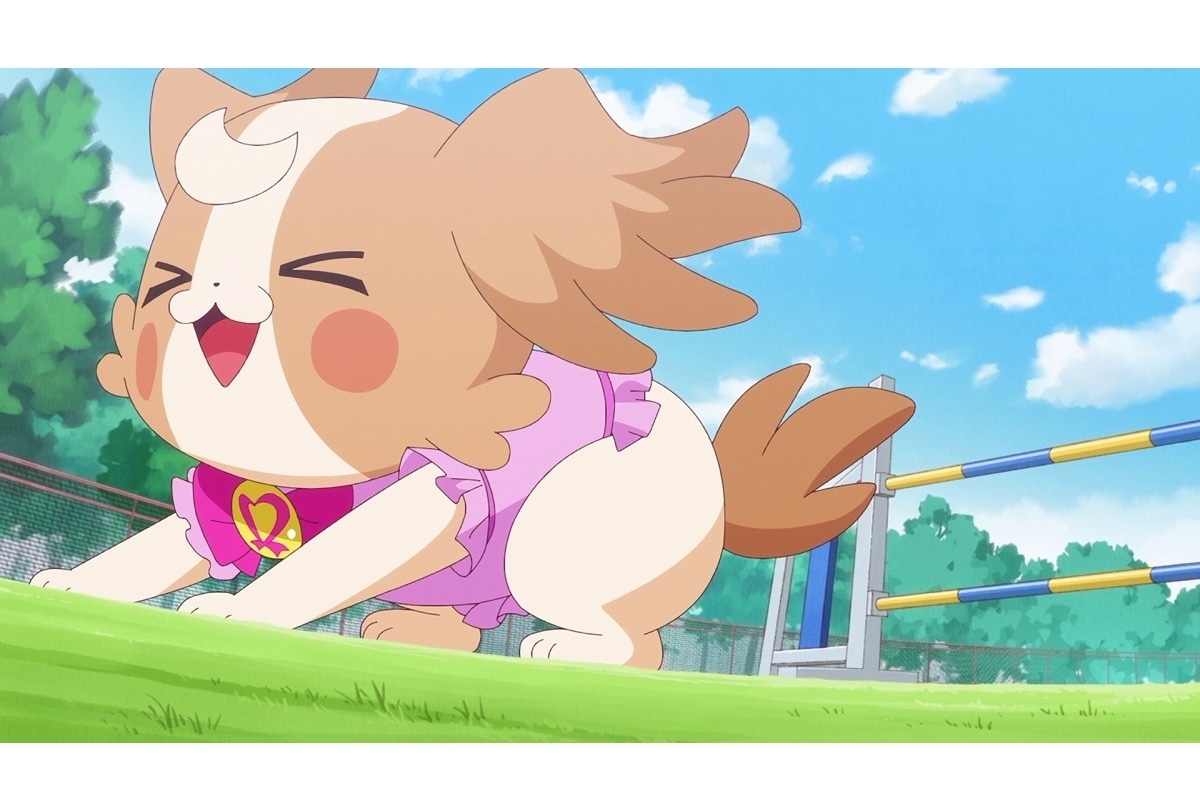 『わんぷり』第22話「わんだふるご〜！」先行場面カット＆あらすじ