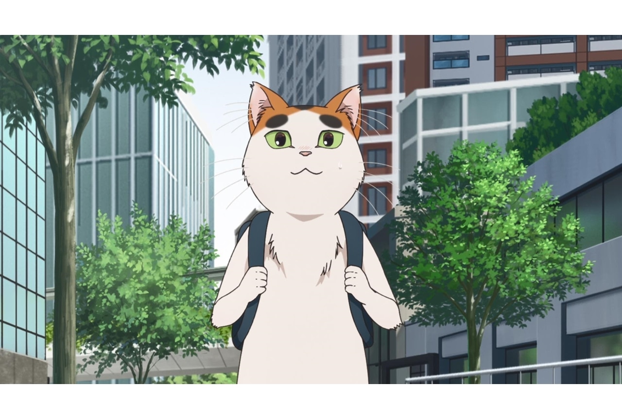 『となりの妖怪さん』第11話先行場面カット&あらすじ