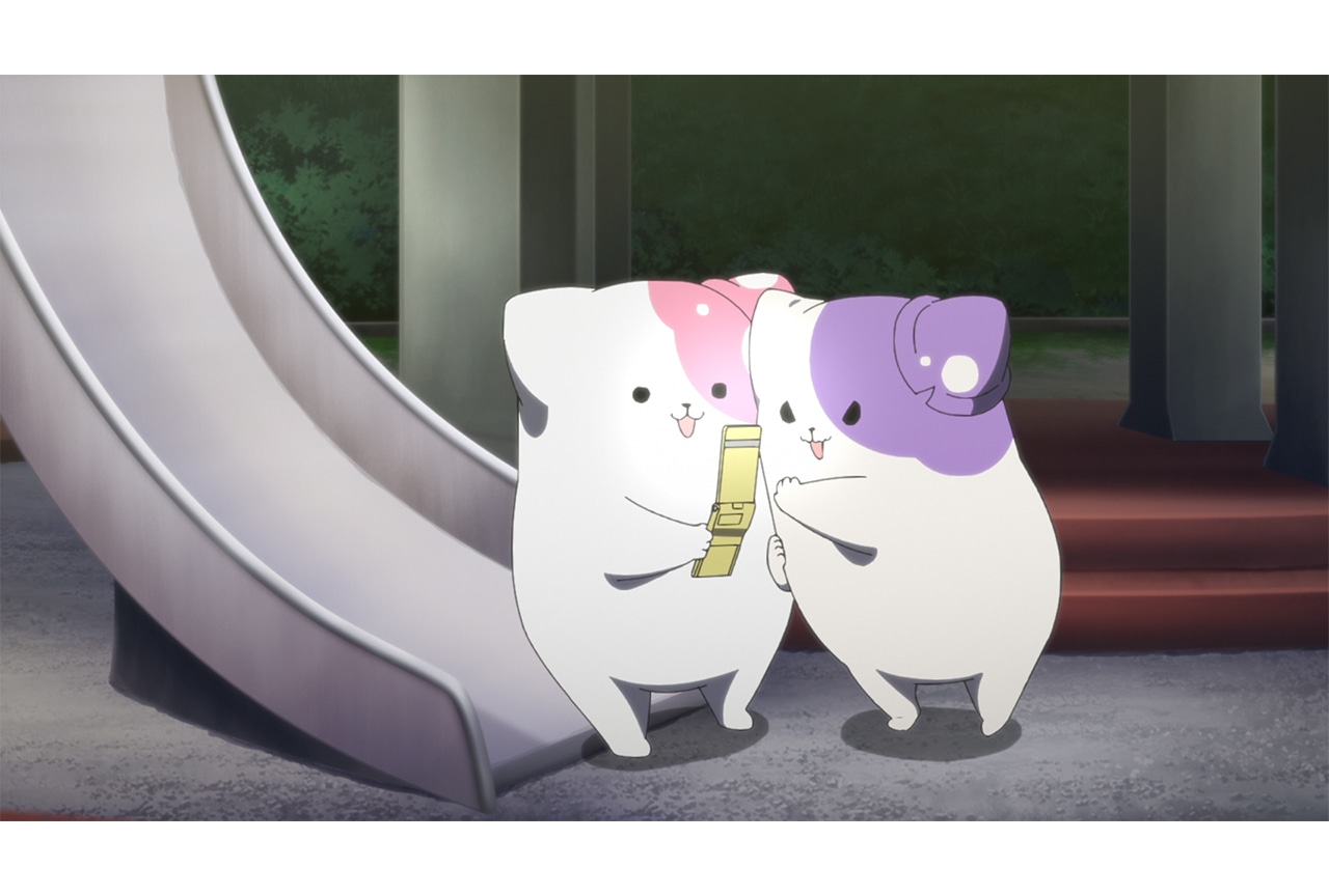 『きのこいぬ』第7話「きのこいぬのきょうだい」先行場面カット&あらすじ