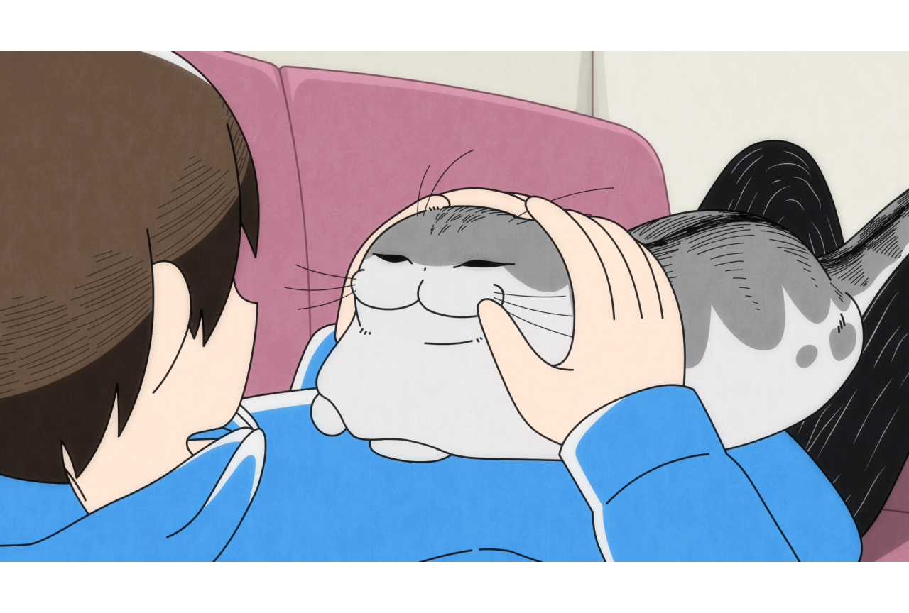 『夜は猫といっしょ』第3期 12月4日より配信|悠木碧、江口拓也出演