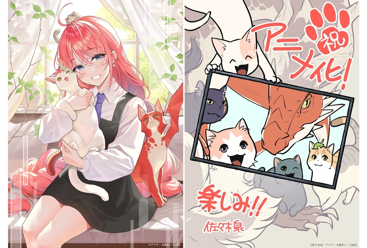 『猫と竜』TVアニメ化決定！アニメ化解禁イラスト＆特報PV公開