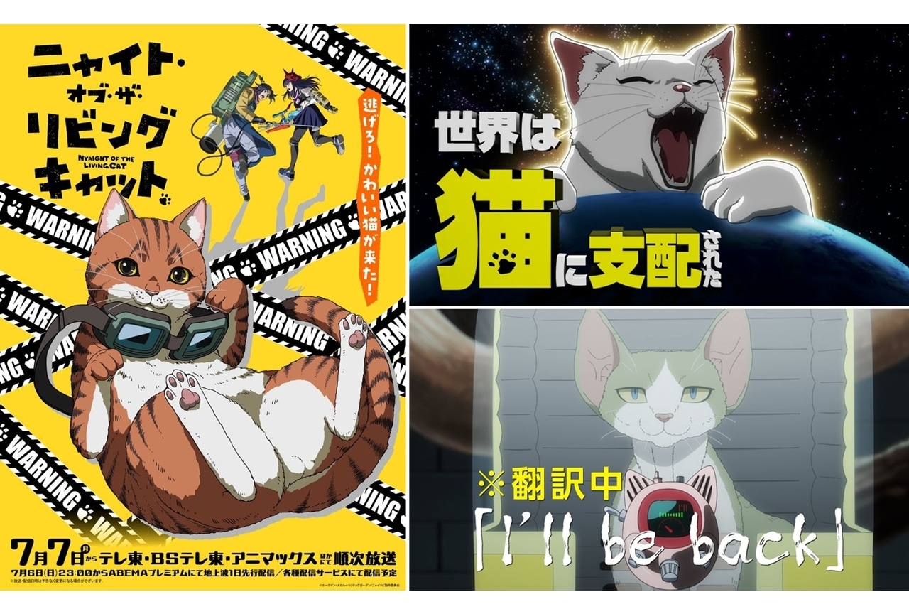 『ニャイリビ』7月7日放送決定、メインPV公開!追加声優に宮寺智子ら8名決定