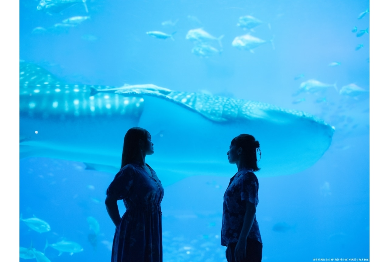 『劇場版総集編 呪術廻戦 懐玉・玉折』永瀬アンナ&清水理沙 沖縄訪問公式レポ