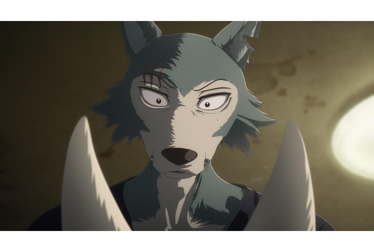 『BEASTARS FINAL SEASON』Part2、先行場面カット解禁!松見真一監督コメントも到着