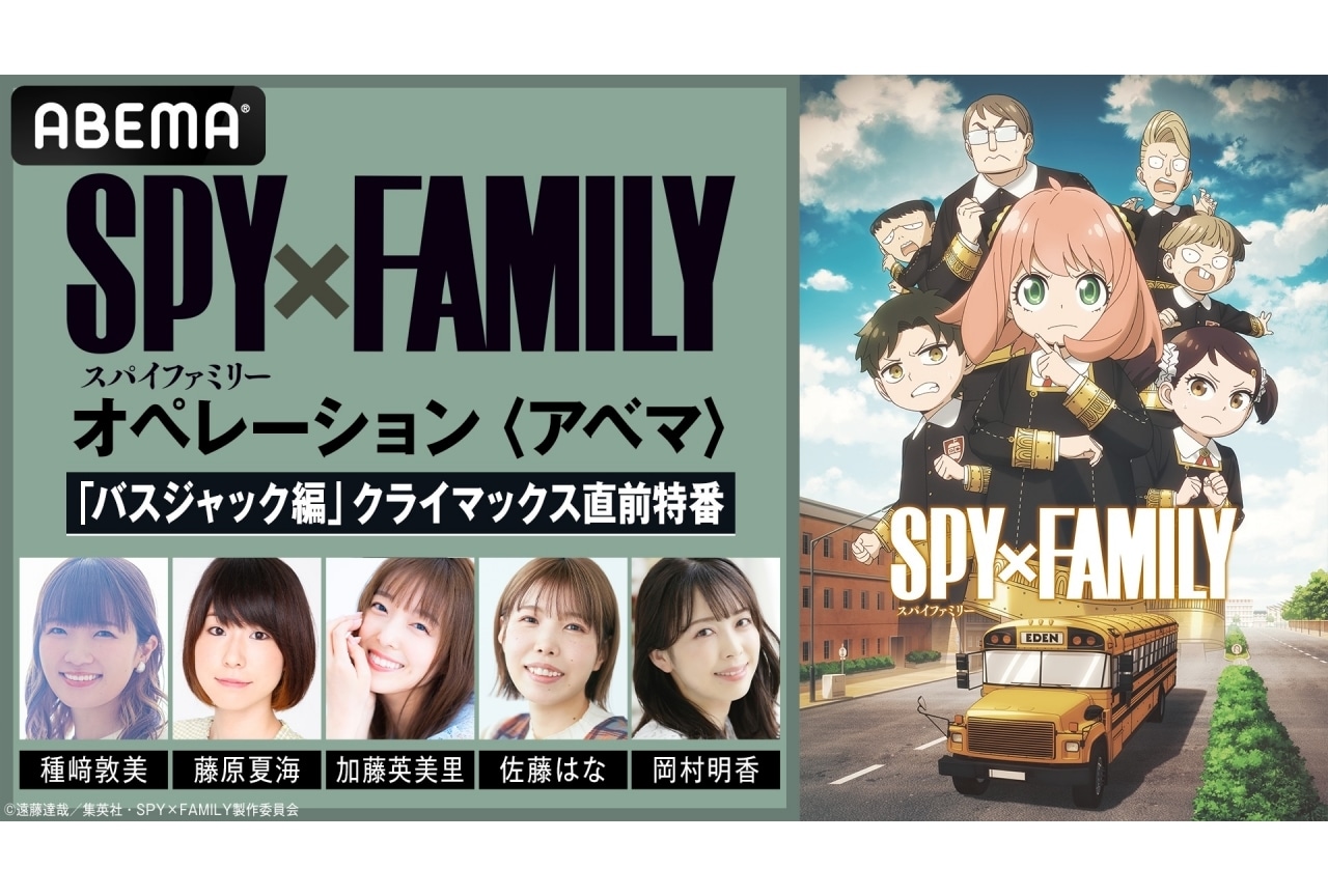 『SPY×FAMILY』Season 3の特番が配信決定|種﨑敦美、藤原夏海ら出演
