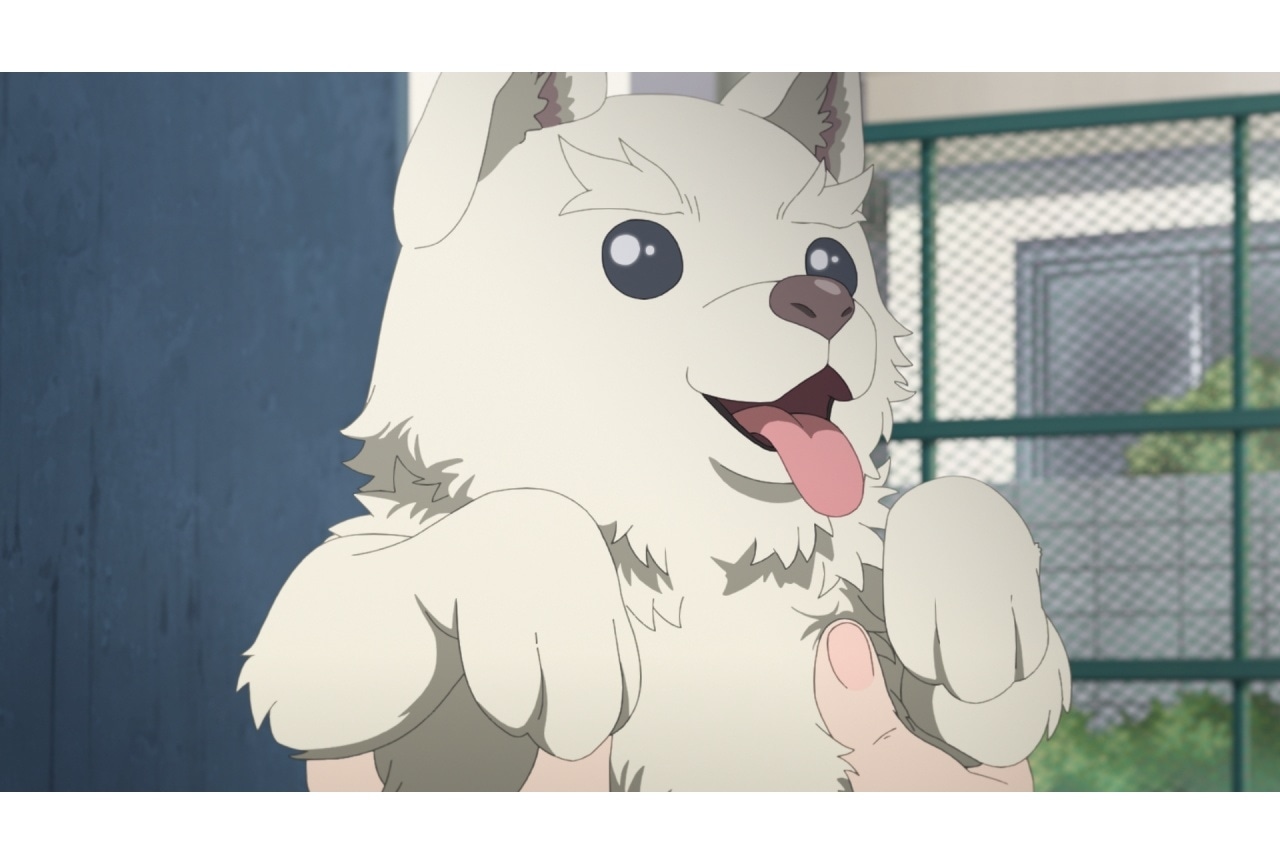 『えがたえ』第9話あらすじ&先行カット