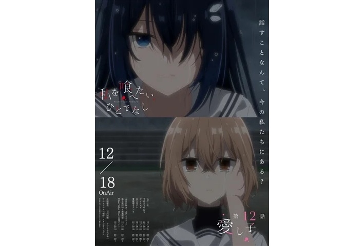 『わたたべ』第12話あらすじ・エモーショナルポスター・WEB予告