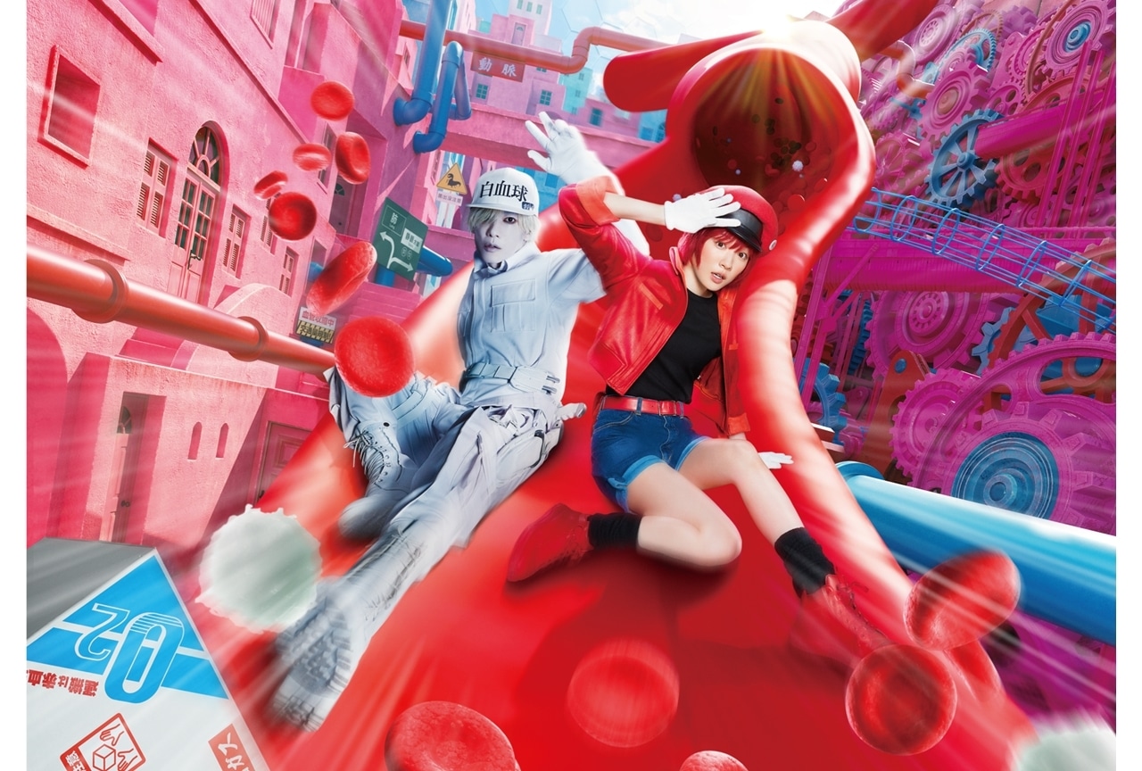 実写映画『はたらく細胞』金曜ロードショーで1月30日放送決定!