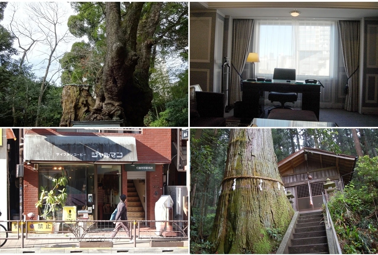 映画『クスノキの番人』ロケハン写真と共に圧倒的映像美の舞台裏を公開!